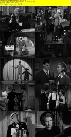 The Stooge 1951 BRRip XviD MP3-XVID