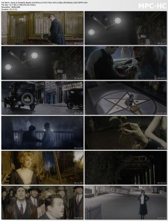 Fantastic Beasts and Where to Find Them 2016 2160p UHD BluRay x265-DEPTH