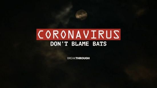Curiosty TV - Breakthrough: Coronavirus Don't Blame Bats (2020) 1080p HDTV x264 AAC MVGroup