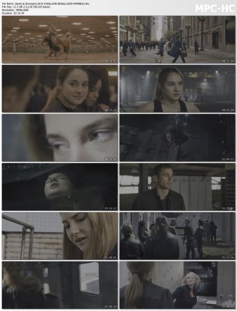 Divergent 2014 2160p UHD BluRay X265-IAMABLE