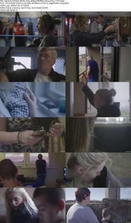 Scheme Birds 2019 1080p WEBRip x264 AAC5.1-YTS