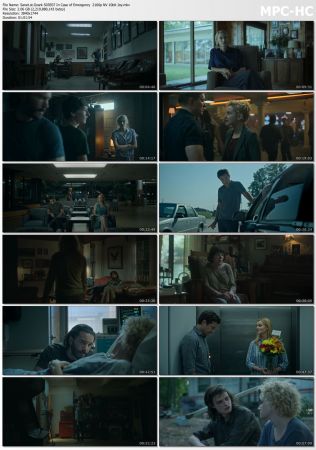 Ozark 2016 S03 2160p NF WEBRip NVENC HEVC 10bit AAC 5.1 Joy UTR