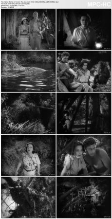 Tarzan The Ape Man 1932 1080p WEBRip x265-RARBG