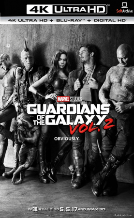 Guardians of the Galaxy Vol 2 2017 2160p UHD BluRay x265-TERMiNAL