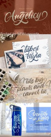 Creativemarket   Angelicy   Textured Brush Font 5130106