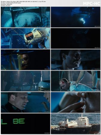 The Abyss 1989 2160p WEB x265 HEVC AI 10bit AAC 5.1 Joy UTR