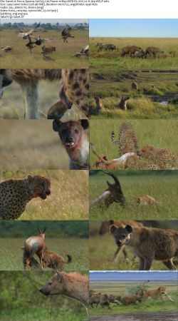 Fierce Queens S01 1080p WEB-DL AAC2.0 H264-WELP