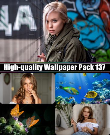 High-quality Wallpaper Pack 137
