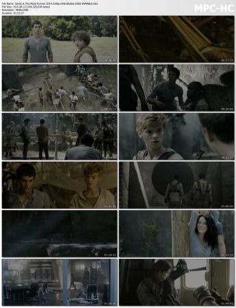 The Maze Runner 2014 2160p UHD BluRay X265-IAMABLE