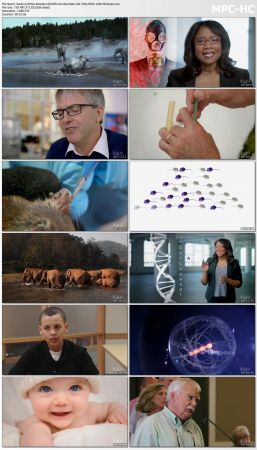 NOVA Wonders S01 720p x265-MeGusta