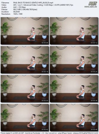 The Collective Yoga - Back to Basics – Gentle Hips