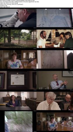 Exhibit A S01 720p NF WEBRip x264-GalaxyTV