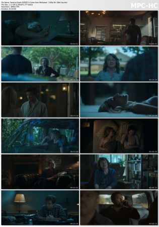 Ozark 2016 S03 2160p NF WEBRip NVENC HEVC 10bit AAC 5.1 Joy UTR