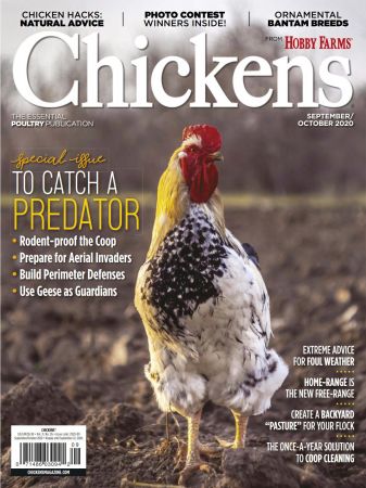 FreeCourseWeb Chickens September October 2020