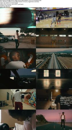 Prodigy S01 1080p WEB-DL AAC2.0 H264-WELP
