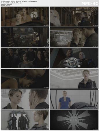Insurgent 2015 2160p UHD BluRay X265-IAMABLE