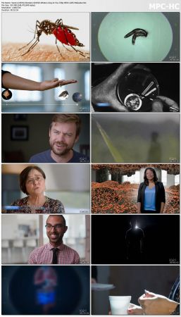 NOVA Wonders S01 720p x265-MeGusta