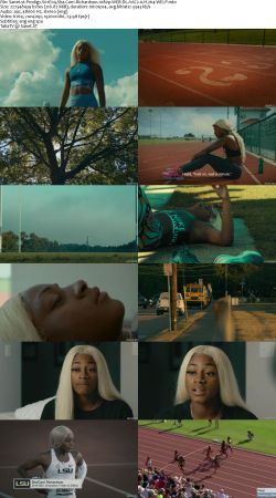 Prodigy S01 1080p WEB-DL AAC2.0 H264-WELP