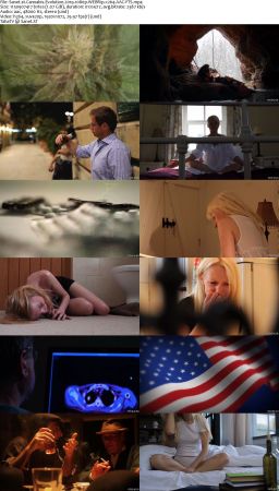 Cannabis Evolution 2019 1080p WEBRip x264 AAC-YTS