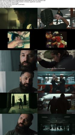 Prodigy S01 1080p WEB-DL AAC2.0 H264-WELP