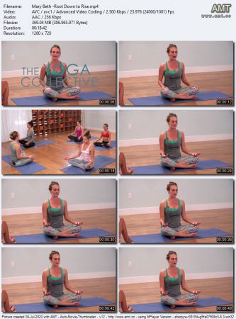 The Collective Yoga - Root Down to Rise
