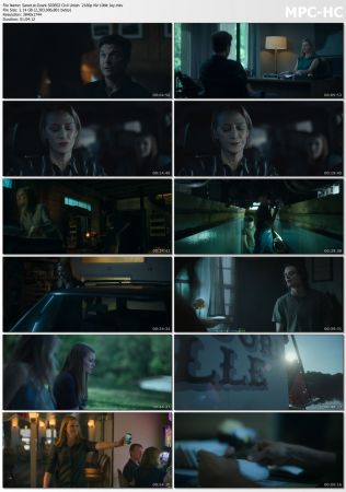 Ozark 2016 S03 2160p NF WEBRip NVENC HEVC 10bit AAC 5.1 Joy UTR
