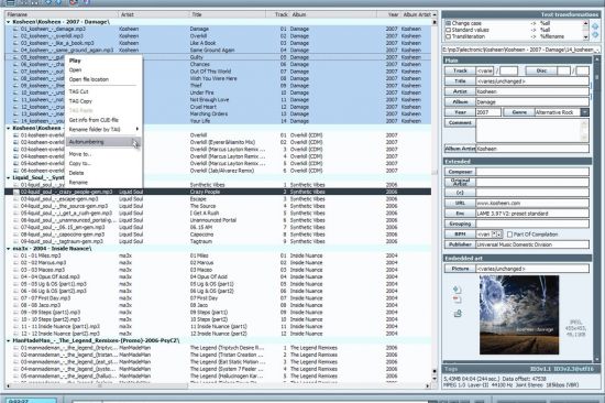 Portable TagScanner 6.1.5 Multilingual