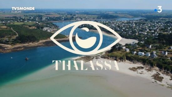 TV5Monde Thalassa - Des Abers à la Mer d'Iroise (2020) 1080p x265 AAC MVGroup