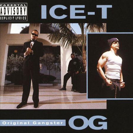 Ice T ‎- O.G. Original Gangster (1991)