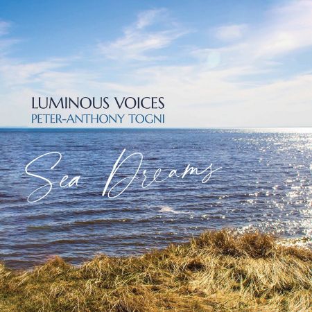 Luminous Voices   Sea Dreams (2020) MP3