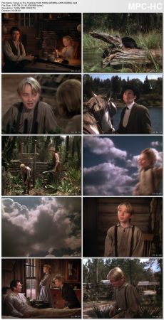 The Yearling 1946 1080p WEBRip x265-RARBG