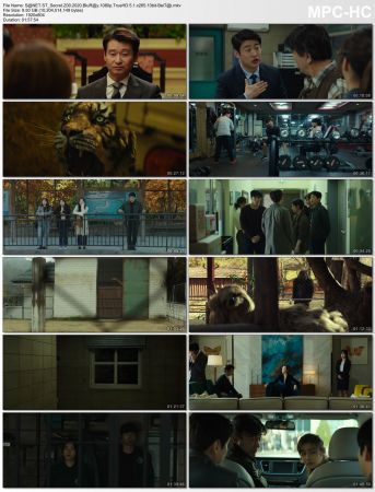 Secret Zoo 2020 BluRay 1080p TrueHD 5.1 x265 10bit-BeiTai
