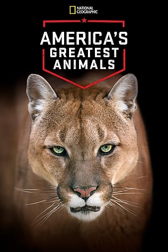 Americas Greatest Animals 2012 1080p WEBRip x265-RARBG