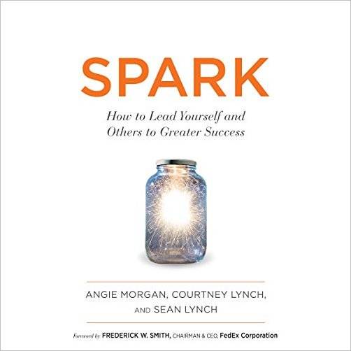 SPARK: How to Lead Yourself and Others to Greater Success [Audiobook]