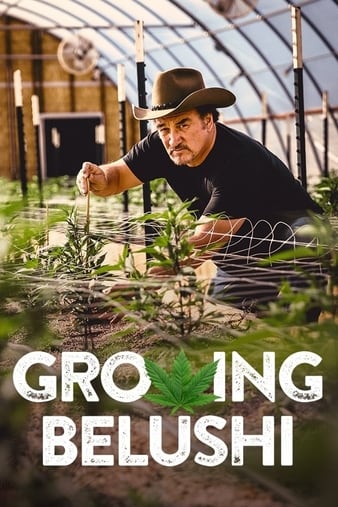 Growing Belushi S01E01 The Dope of Oregon 1080p WEBRip x264-OUTFiT