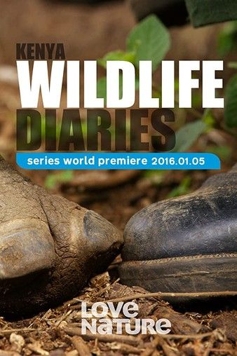 Kenya Wildlife Diaries S01 1080p WEBRip DD2.0 x264-CAFFEiNE