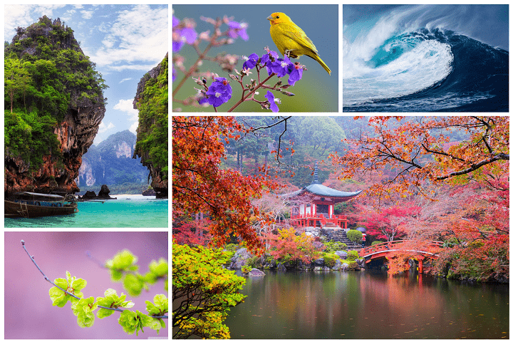 Download Amazing Natural Wallpapers 5k #27 - SoftArchive