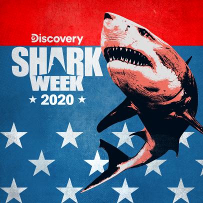 Shark Week 2020 Adam Devines Secret Shark Lair 720p WEBRip x264-CAFFEiNE