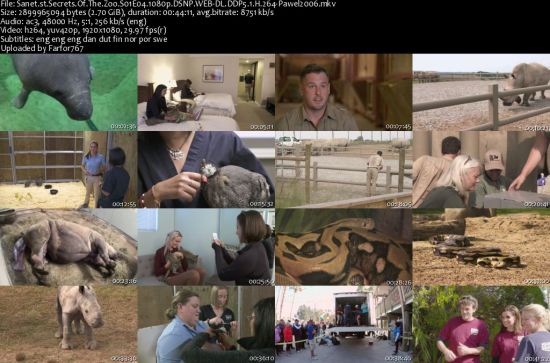 Secrets Of The Zoo S01 1080p DSNP WEBRip DDP5.1 x264-pawel2006