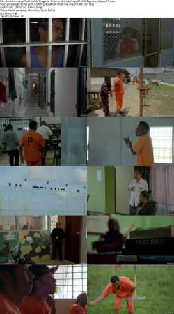 Inside the Worlds Toughest Prisons S02 720p NF WEBRip x264-GalaxyTV