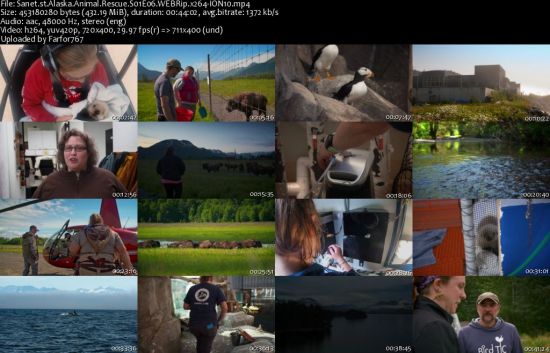 Alaska Animal Rescue S01 WEBRip x264-ION10