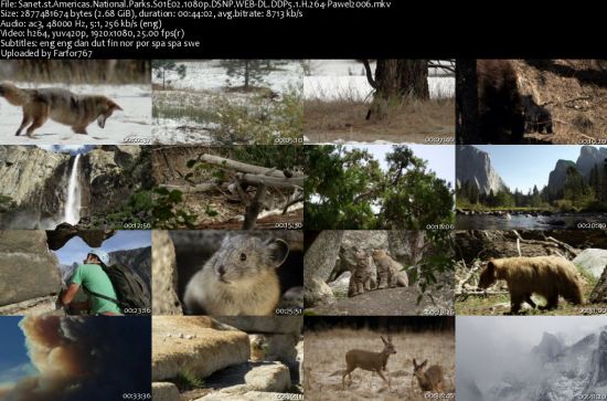 Americas National Parks S01 1080p DSNP WEBRip DDP5.1 x264-pawel2006