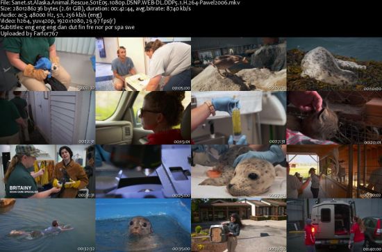 Alaska Animal Rescue S01 1080p DSNP WEBRip DDP5.1 x264-pawel2006