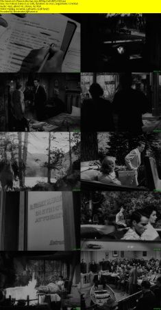 A Place in the Sun 1951 BRRip XviD MP3-XVID