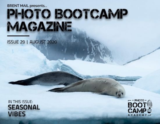Photo BootCamp   August 2020