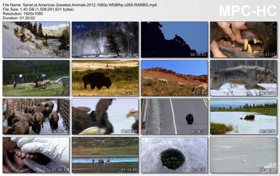 Americas Greatest Animals 2012 1080p WEBRip x265-RARBG