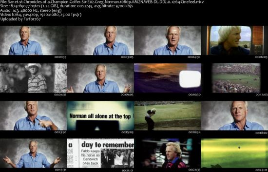 Chronicles of a Champion Golfer S01 1080p AMZN WEBRip DDP2.0 x264-Cinefeel