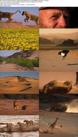 Desert Warriors Lions Of The Namib 2016 720p WEBRip x264 AAC-YTS