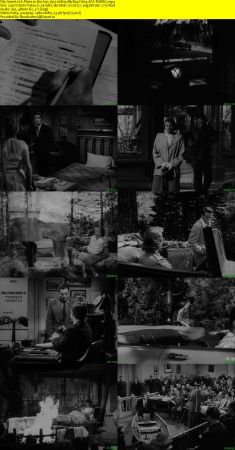 A Place in the Sun 1951 1080p BluRay H264 AAC-RARBG