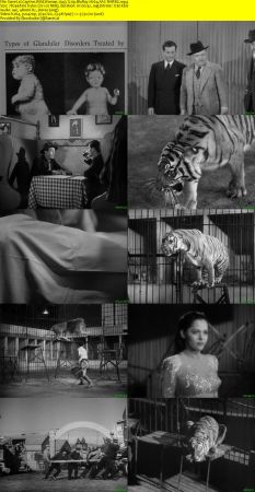 Captive Wild Woman 1943 720p BluRay H264 AAC-RARBG